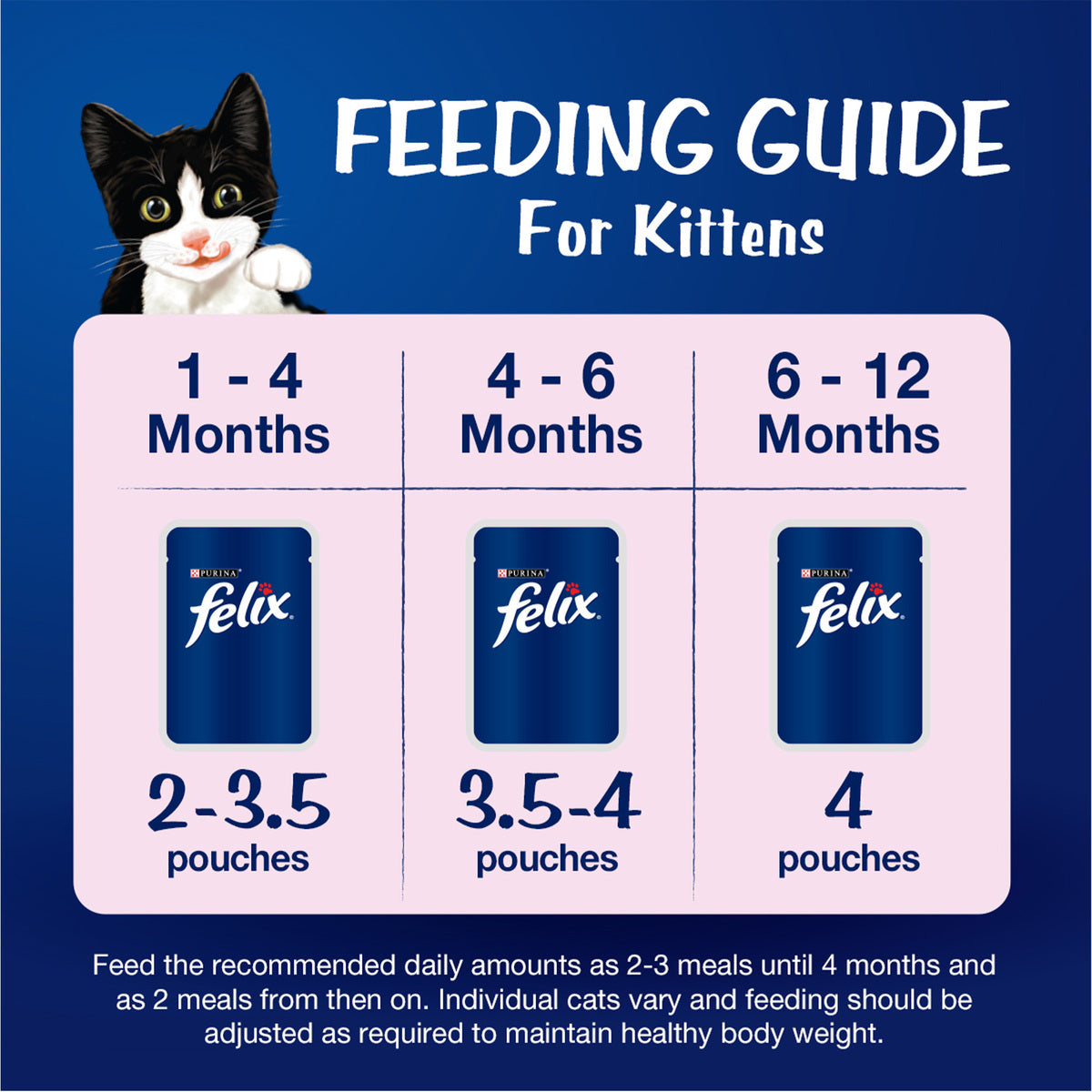 GETIT.QA- Qatar’s Best Online Shopping Website offers PURINA FELIX KITTEN WITH TUNA IN JELLY UP TO 1 YEAR 85 G
 at the lowest price in Qatar. Free Shipping & COD Available!