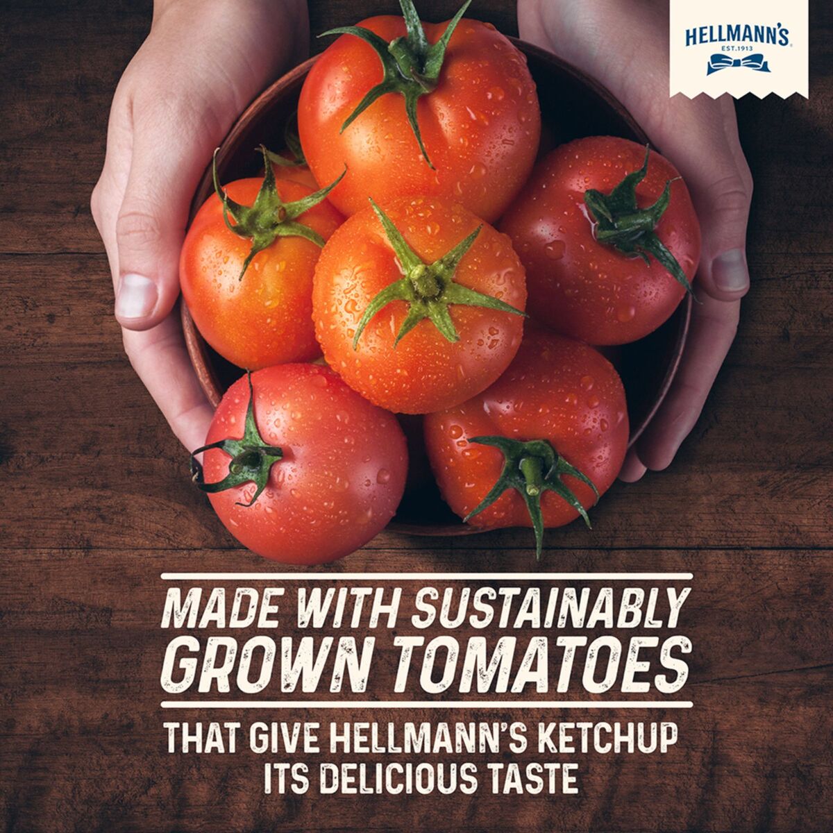 GETIT.QA- Qatar’s Best Online Shopping Website offers HELLMANN'S TOMATO KETCHUP-- 290 G at the lowest price in Qatar. Free Shipping & COD Available!