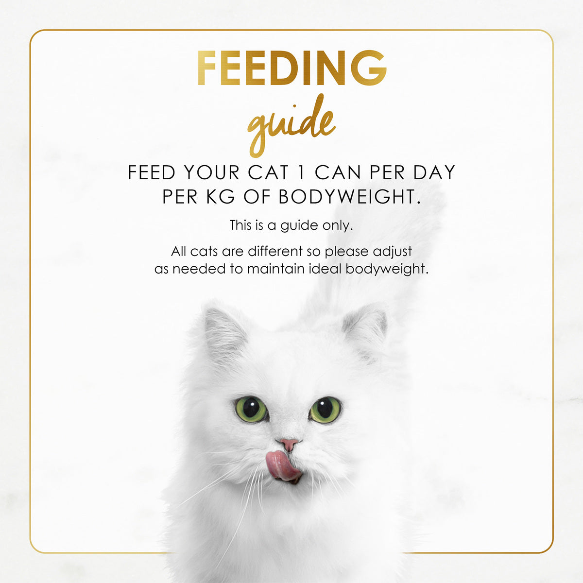 GETIT.QA- Qatar’s Best Online Shopping Website offers PURINA FANCY FEAST GRILLED CHICKEN FEAST IN GRAVY CAT FOOD 85 G
 at the lowest price in Qatar. Free Shipping & COD Available!