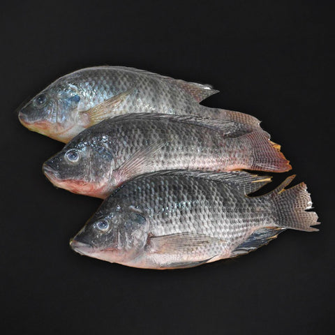 GETIT.QA- Qatar’s Best Online Shopping Website offers LIVE TILAPIA FISH WHOLE CLEANED 1 KG at the lowest price in Qatar. Free Shipping & COD Available!