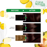 GETIT.QA- Qatar’s Best Online Shopping Website offers GARNIER COLOR NATURALS CRèME NOURISHING PERMANENT HAIR COLOR 4.15 BROWNIE CHOCOLATE 1 PKT at the lowest price in Qatar. Free Shipping & COD Available!