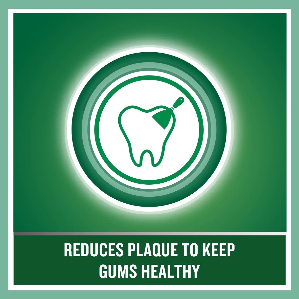 GETIT.QA- Qatar’s Best Online Shopping Website offers LISTERINE MOUTHWASH TEETH & GUM DEFENCE MILDER TASTE SOFT MINT 250 ML at the lowest price in Qatar. Free Shipping & COD Available!