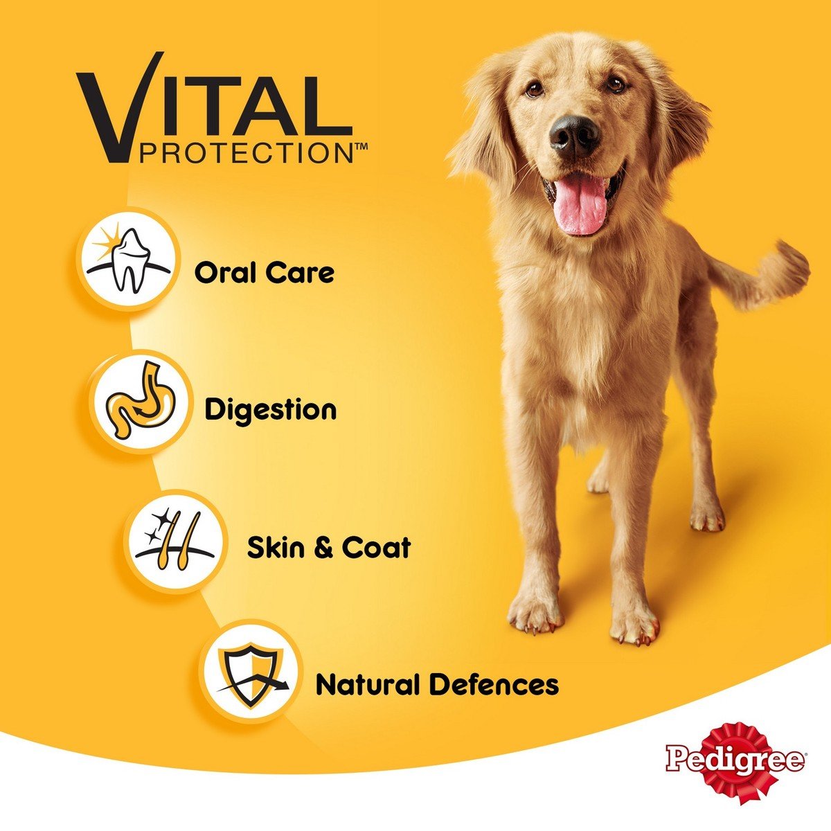 GETIT.QA- Qatar’s Best Online Shopping Website offers PEDIGREE LAMB WET DOG FOOD CAN 400 G at the lowest price in Qatar. Free Shipping & COD Available!