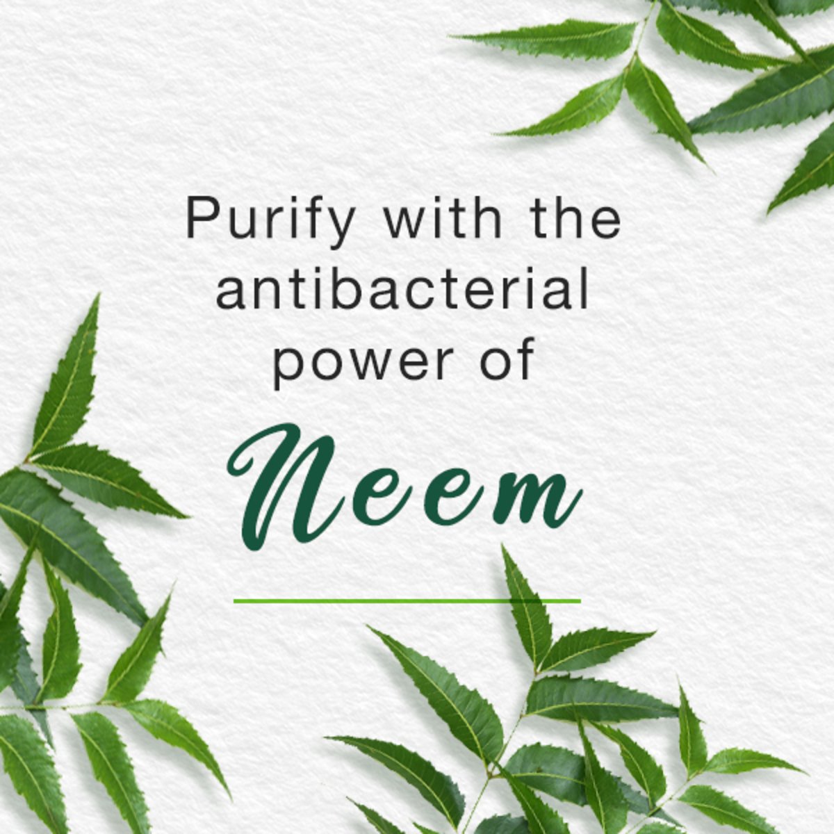 GETIT.QA- Qatar’s Best Online Shopping Website offers HIMALAYA FACE WASH PURIFYING NEEM FOAMING 150 G at the lowest price in Qatar. Free Shipping & COD Available!