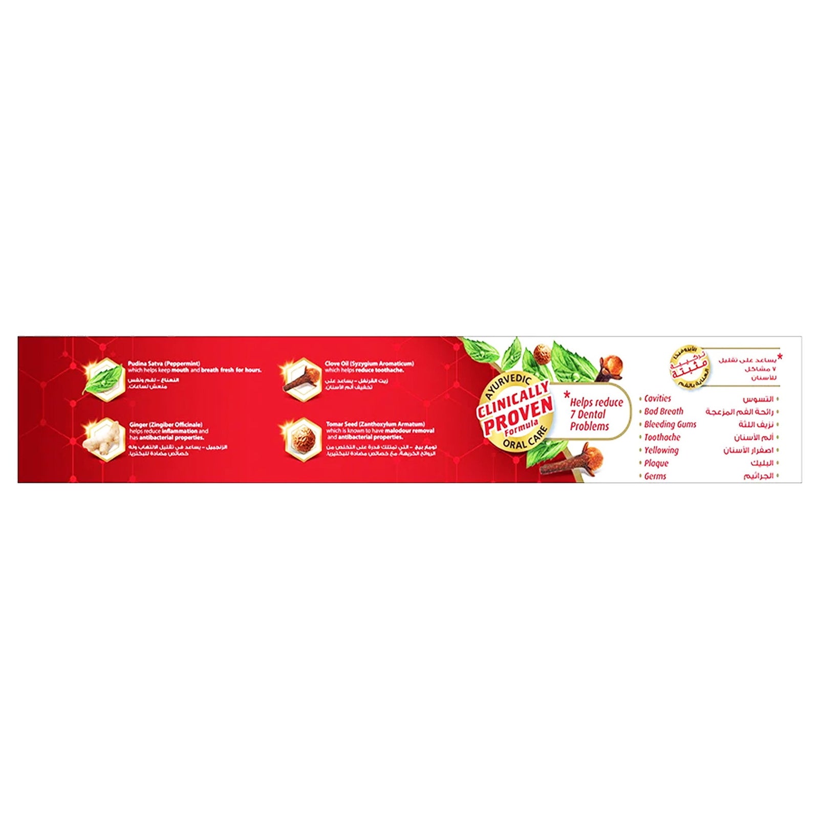 Dabur Red Toothpaste 100 g - GETIT.QA