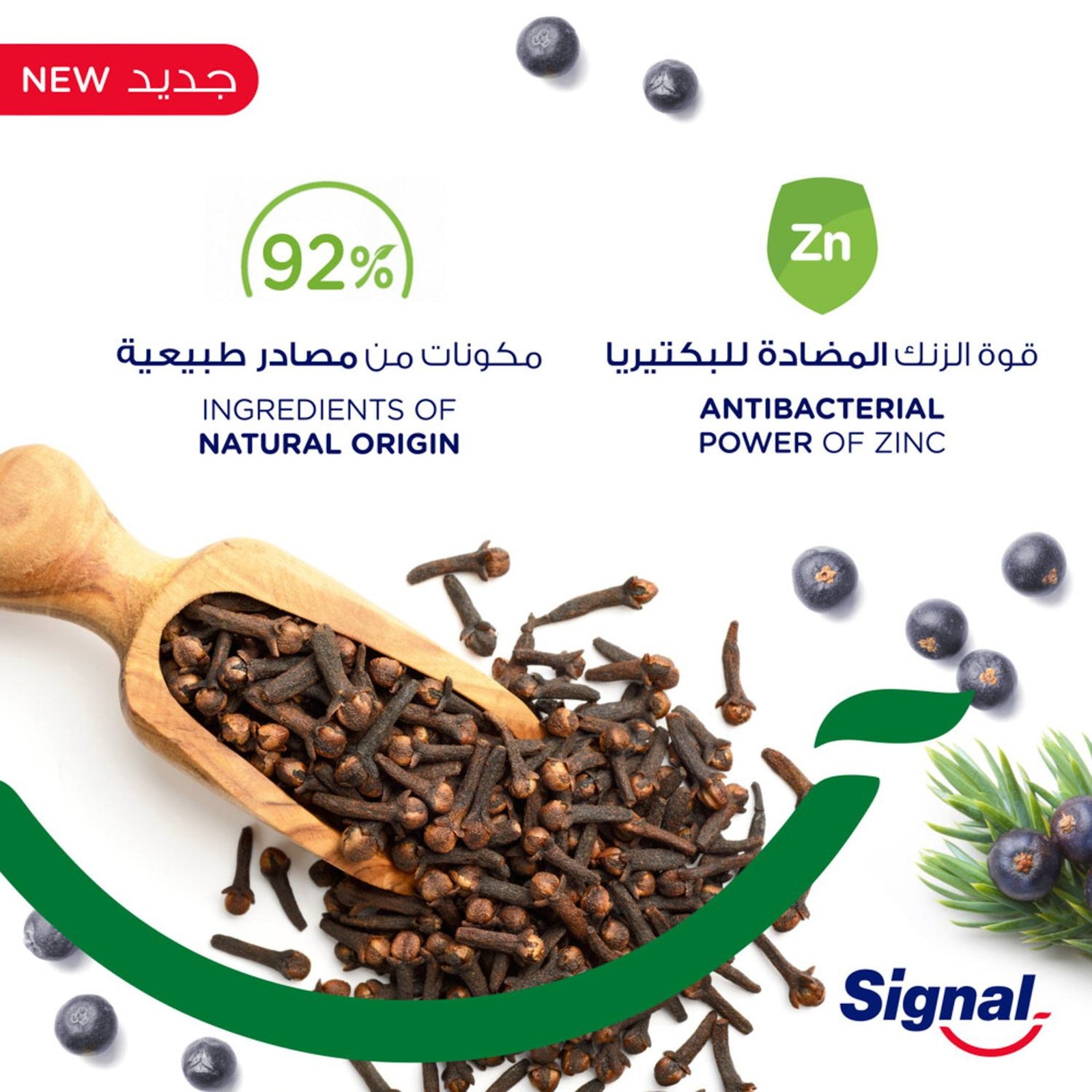 Signal Complete 8 Clove Toothpaste 75 ml - GETIT.QA