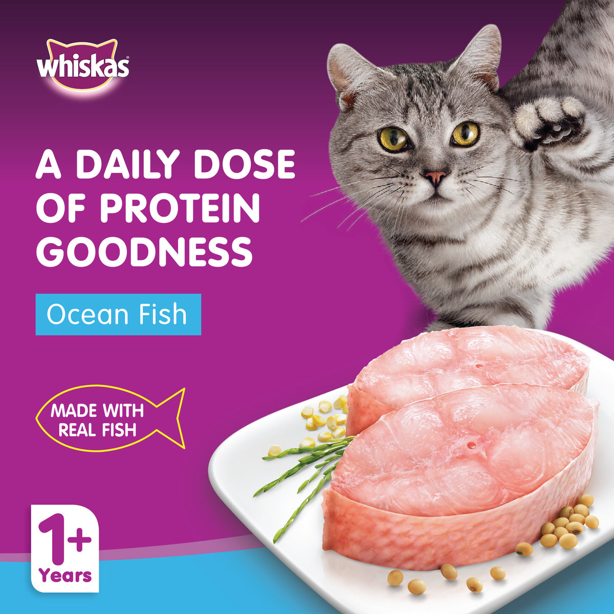 GETIT.QA- Qatar’s Best Online Shopping Website offers WHISKAS WET CAT FOOD OCEAN FISH FOR ADULT CATS 1+ YEARS 80 G at the lowest price in Qatar. Free Shipping & COD Available!