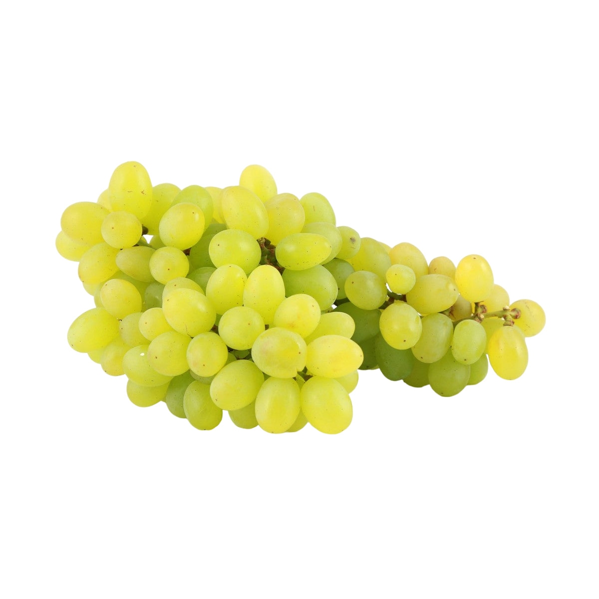 GETIT.QA- Qatar’s Best Online Shopping Website offers GRAPES WHITE 500 G at the lowest price in Qatar. Free Shipping & COD Available!