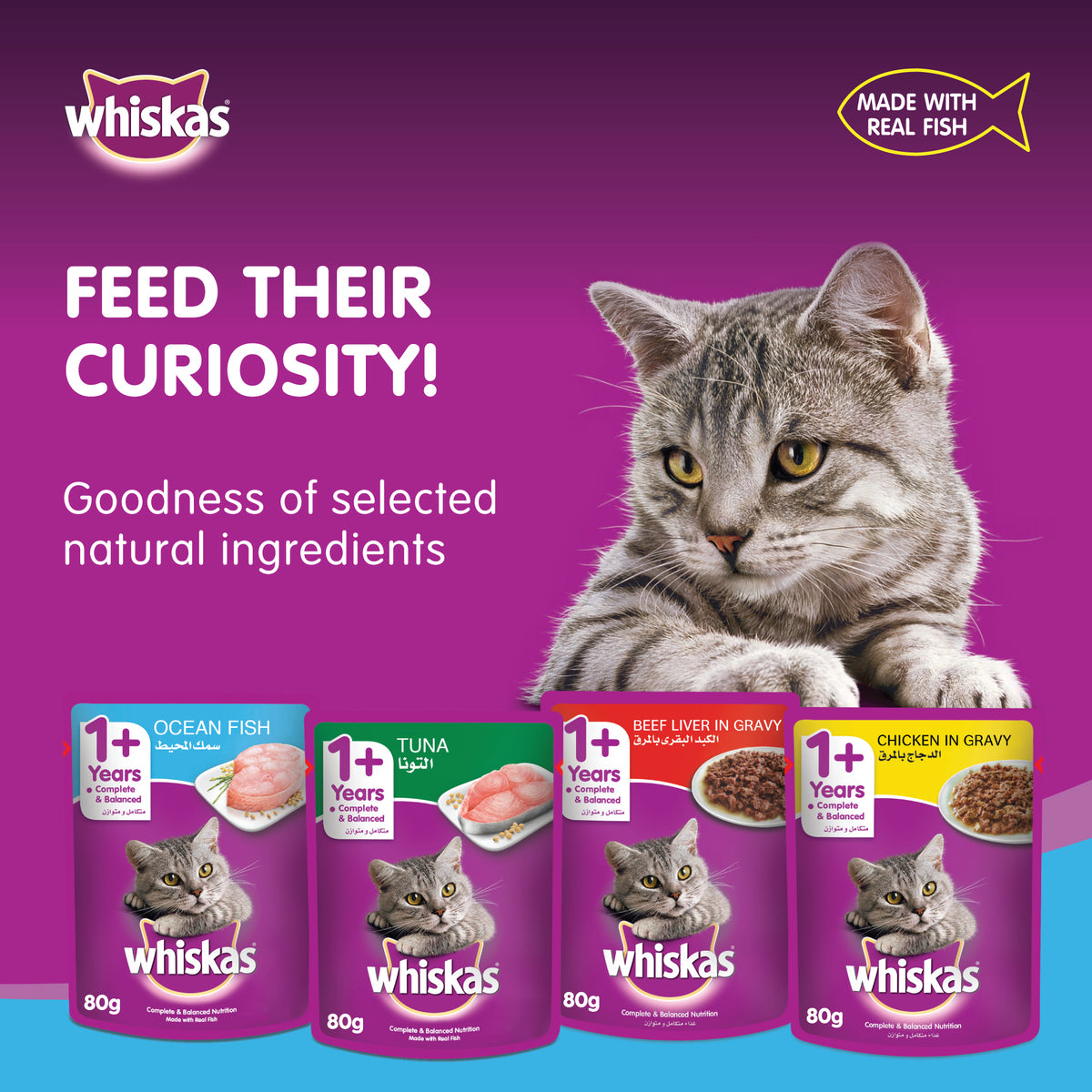 GETIT.QA- Qatar’s Best Online Shopping Website offers WHISKAS WET CAT FOOD OCEAN FISH FOR ADULT CATS 1+ YEARS 80 G at the lowest price in Qatar. Free Shipping & COD Available!