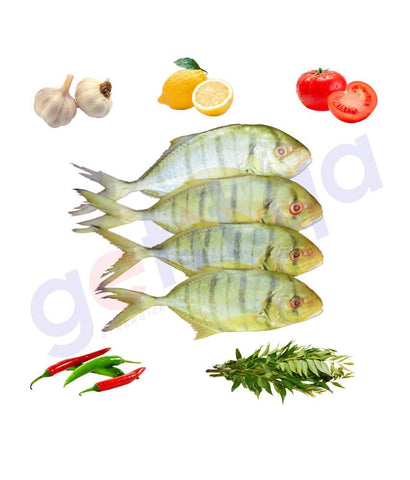 Fresh Fish - RABEEB (Small) - ربيب - GOLDTOOTHLESS TREAVALLY  ( 1KG )