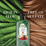 GETIT.QA- Qatar’s Best Online Shopping Website offers HERBAL ESSENCES COLOR PROTECT SULFATE FREE POTENT ALOE VERA + MANGO NATURAL SHAMPOO FOR DRY HAIR 400 ML at the lowest price in Qatar. Free Shipping & COD Available!