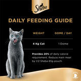 GETIT.QA- Qatar’s Best Online Shopping Website offers SHEBA FILLETS SELECTION CAT FOOD 4 X 60 G at the lowest price in Qatar. Free Shipping & COD Available!