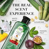 GETIT.QA- Qatar’s Best Online Shopping Website offers HERBAL ESSENCES COLOR PROTECT SULFATE FREE POTENT ALOE VERA + MANGO NATURAL SHAMPOO FOR DRY HAIR 400 ML at the lowest price in Qatar. Free Shipping & COD Available!