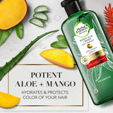 GETIT.QA- Qatar’s Best Online Shopping Website offers HERBAL ESSENCES COLOR PROTECT SULFATE FREE POTENT ALOE VERA + MANGO NATURAL SHAMPOO FOR DRY HAIR 400 ML at the lowest price in Qatar. Free Shipping & COD Available!