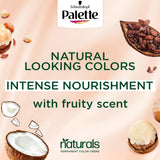 GETIT.QA- Qatar’s Best Online Shopping Website offers PALETTE PERMANENT NATURALS COLOR CREME 1-0 BLACK 1 PKT at the lowest price in Qatar. Free Shipping & COD Available!