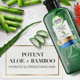 GETIT.QA- Qatar’s Best Online Shopping Website offers HERBAL ESSENCES HAIR STRENGTHENING SULFATE FREE POTENT ALOE VERA + BAMBOO NATURAL SHAMPOO FOR DRY HAIR 400 ML at the lowest price in Qatar. Free Shipping & COD Available!