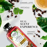 GETIT.QA- Qatar’s Best Online Shopping Website offers HERBAL ESSENCES BIO: RENEW VOLUME ARABICA COFFEE FRUIT SHAMPOO 400 ML at the lowest price in Qatar. Free Shipping & COD Available!