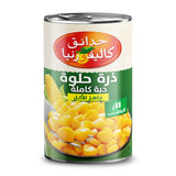 GETIT.QA- Qatar’s Best Online Shopping Website offers C/G SWEET CORN KERNAL 400G at the lowest price in Qatar. Free Shipping & COD Available!