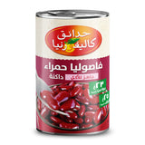 GETIT.QA- Qatar’s Best Online Shopping Website offers C/G RED KIDNEY BEANS 400GM at the lowest price in Qatar. Free Shipping & COD Available!