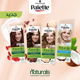 GETIT.QA- Qatar’s Best Online Shopping Website offers PALETTE PERMANENT NATURALS COLOR CREME 1-0 BLACK 1 PKT at the lowest price in Qatar. Free Shipping & COD Available!