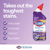 GETIT.QA- Qatar’s Best Online Shopping Website offers CLOROX SCENTIVA TUSCAN LAVENDER TOILET CLEANER 709 ML at the lowest price in Qatar. Free Shipping & COD Available!