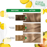 GETIT.QA- Qatar’s Best Online Shopping Website offers GARNIER COLOR NATURALS 8.1 LIGHT ASH BLONDE 1 PKT at the lowest price in Qatar. Free Shipping & COD Available!