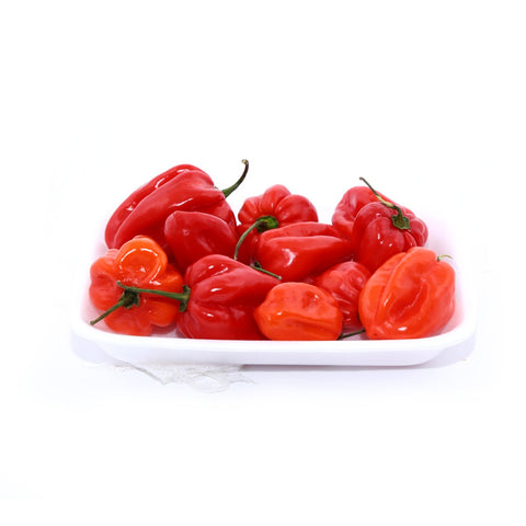 GETIT.QA- Qatar’s Best Online Shopping Website offers HABANERO HOT PEPPERS USA 250 G at the lowest price in Qatar. Free Shipping & COD Available!