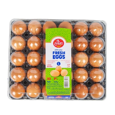 GETIT.QA- Qatar’s Best Online Shopping Website offers AL BALAD FRESH BROWN EGGS LARGE 30PCS at the lowest price in Qatar. Free Shipping & COD Available!
