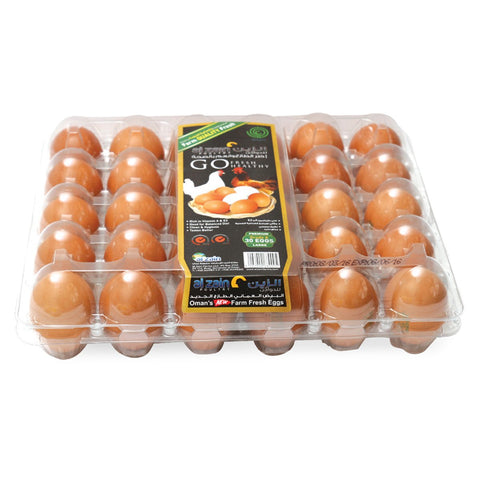 GETIT.QA- Qatar’s Best Online Shopping Website offers AL ZAIN BROWN EGGS LARGE 30PCS at the lowest price in Qatar. Free Shipping & COD Available!