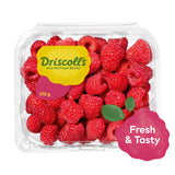 GETIT.QA- Qatar’s Best Online Shopping Website offers RASPBERRY CLAMSHELL 170G at the lowest price in Qatar. Free Shipping & COD Available!