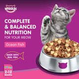 GETIT.QA- Qatar’s Best Online Shopping Website offers WHISKAS KITTEN OCEAN FISH FLAVOR WITH MILK DRY FOOD FOR KITTENS AGED 2-12 MONTHS 1.1KG at the lowest price in Qatar. Free Shipping & COD Available!