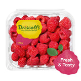 GETIT.QA- Qatar’s Best Online Shopping Website offers RASPBERRY CLAMSHELL 170G at the lowest price in Qatar. Free Shipping & COD Available!