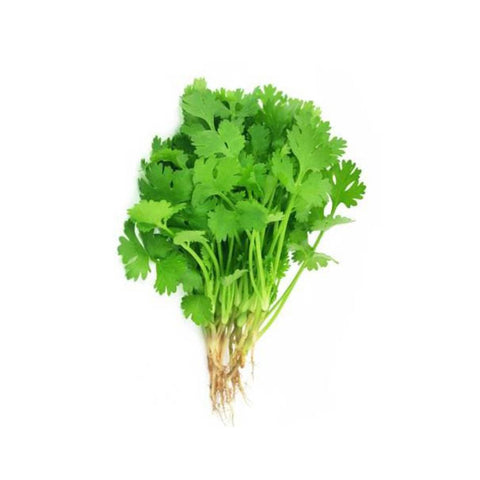 GETIT.QA- Qatar’s Best Online Shopping Website offers Coriander Leaves Saudi Arabia 100 g at lowest price in Qatar. Free Shipping & COD Available!