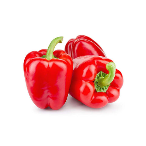 GETIT.QA- Qatar’s Best Online Shopping Website offers Fresh Capsicum Red, Oman, 500 g at lowest price in Qatar. Free Shipping & COD Available!