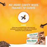 GETIT.QA- Qatar’s Best Online Shopping Website offers DABUR HERBAL CAVITY PROTECTION CLOVE TOOTHPASTE 150 G at the lowest price in Qatar. Free Shipping & COD Available!