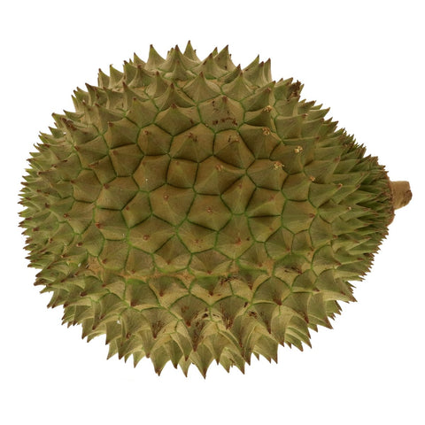GETIT.QA- Qatar’s Best Online Shopping Website offers DURIAN SRI LANKA 1.25KG at the lowest price in Qatar. Free Shipping & COD Available!