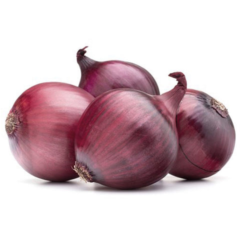 GETIT.QA- Qatar’s Best Online Shopping Website offers ONION TURKEY 1KG at the lowest price in Qatar. Free Shipping & COD Available!