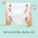 Pampers Premium Care Pants Diapers Size 6, 16+kg 36 pcs - GETIT.QA