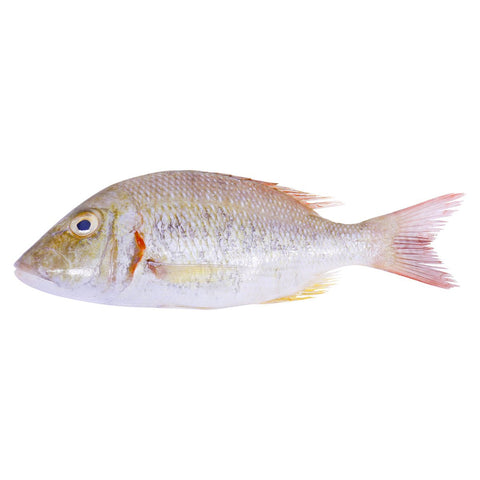GETIT.QA- Qatar’s Best Online Shopping Website offers SHERI FISH MEDIUM 1 KG at the lowest price in Qatar. Free Shipping & COD Available!