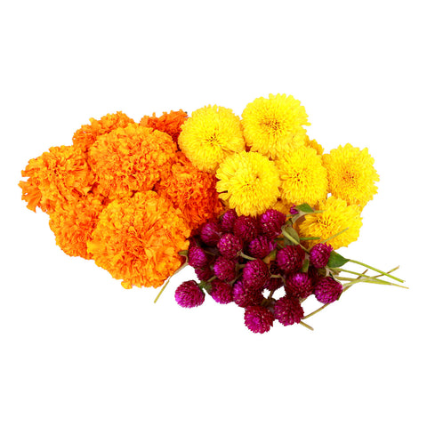 GETIT.QA- Qatar’s Best Online Shopping Website offers MIX FLOWERS 500G at the lowest price in Qatar. Free Shipping & COD Available!