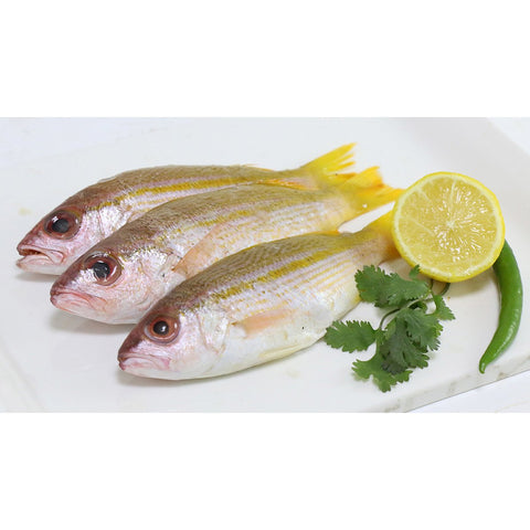 GETIT.QA- Qatar’s Best Online Shopping Website offers NAIZER FISH MEDIUM 1 KG at the lowest price in Qatar. Free Shipping & COD Available!