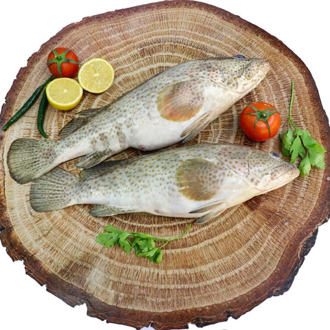 GETIT.QA- Qatar’s Best Online Shopping Website offers HAMOUR FISH MEDIUM 2KG at the lowest price in Qatar. Free Shipping & COD Available!