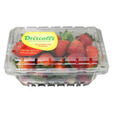 GETIT.QA- Qatar’s Best Online Shopping Website offers STRAWBERRY BASKET 450G at the lowest price in Qatar. Free Shipping & COD Available!