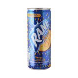GETIT.QA- Qatar’s Best Online Shopping Website offers RANI FLOAT MANGO FRUIT DRINK 240ML at the lowest price in Qatar. Free Shipping & COD Available!