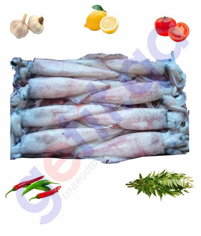 Buy Squid Small Best Price Online in Doha Qatar