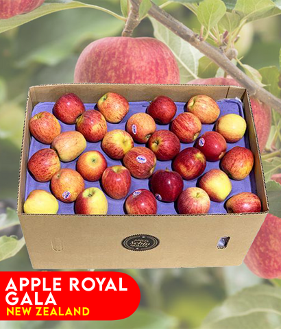 Buy Apple Royal Gala -New Zealand Price Online Doha Qatar