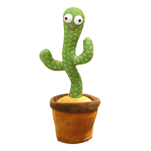 BUY DANCING CACTUS IN QATAR | HOME DELIVERY WITH COD ON ALL ORDERS ALL OVER QATAR FROM GETIT.QA