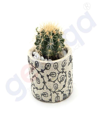 Buy Blue Pot Round Cacti Plant Price Online in Doha Qatar