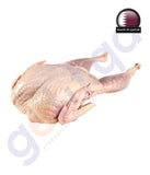 BUY ONLINE BEST QUALITY FRESH QUIL IN QATAR