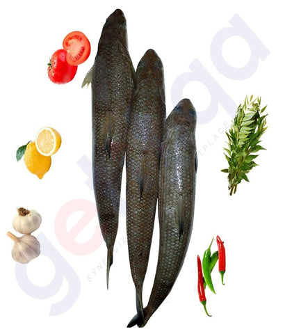 Shop Lizard Fish 1kg, 2kg Price Online in Doha Qatar